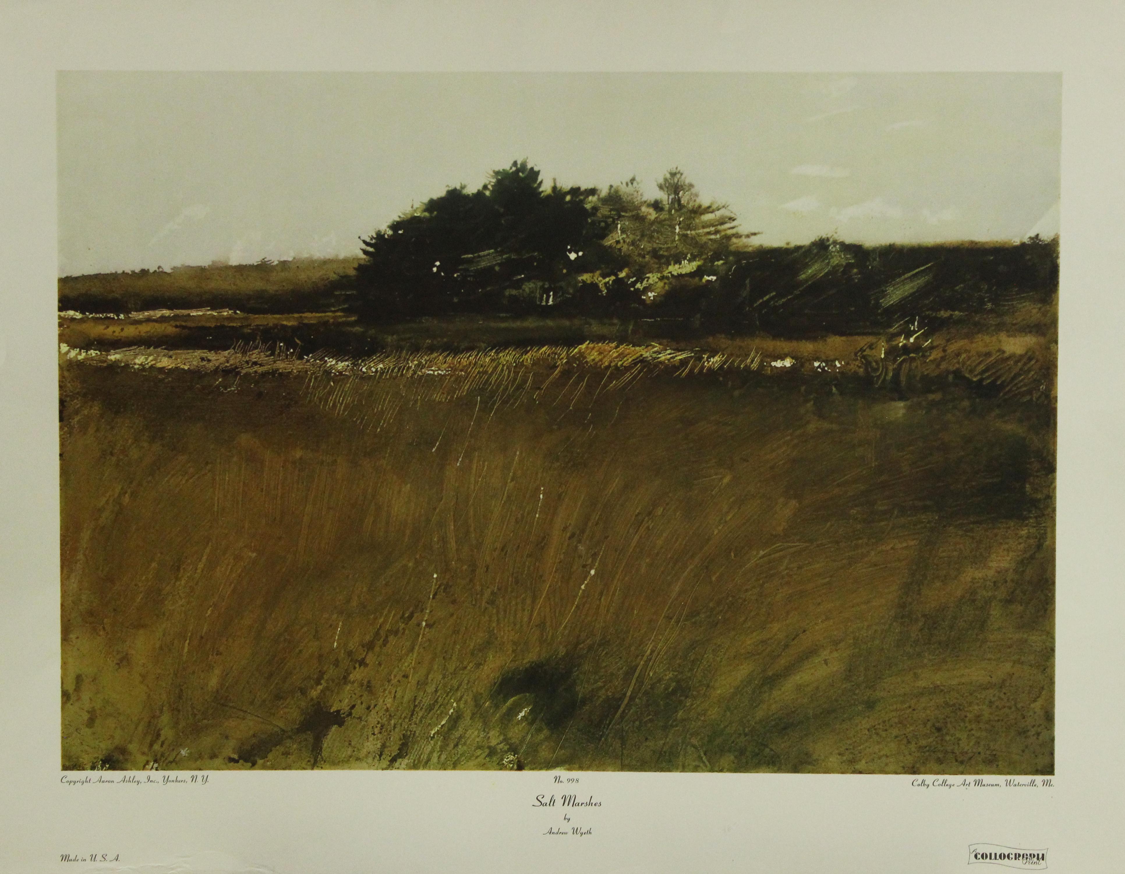 (after) Andrew Wyeth Landscape Print - Salt Marshes-Poster. Copyright Aaron Ashley, Inc. 