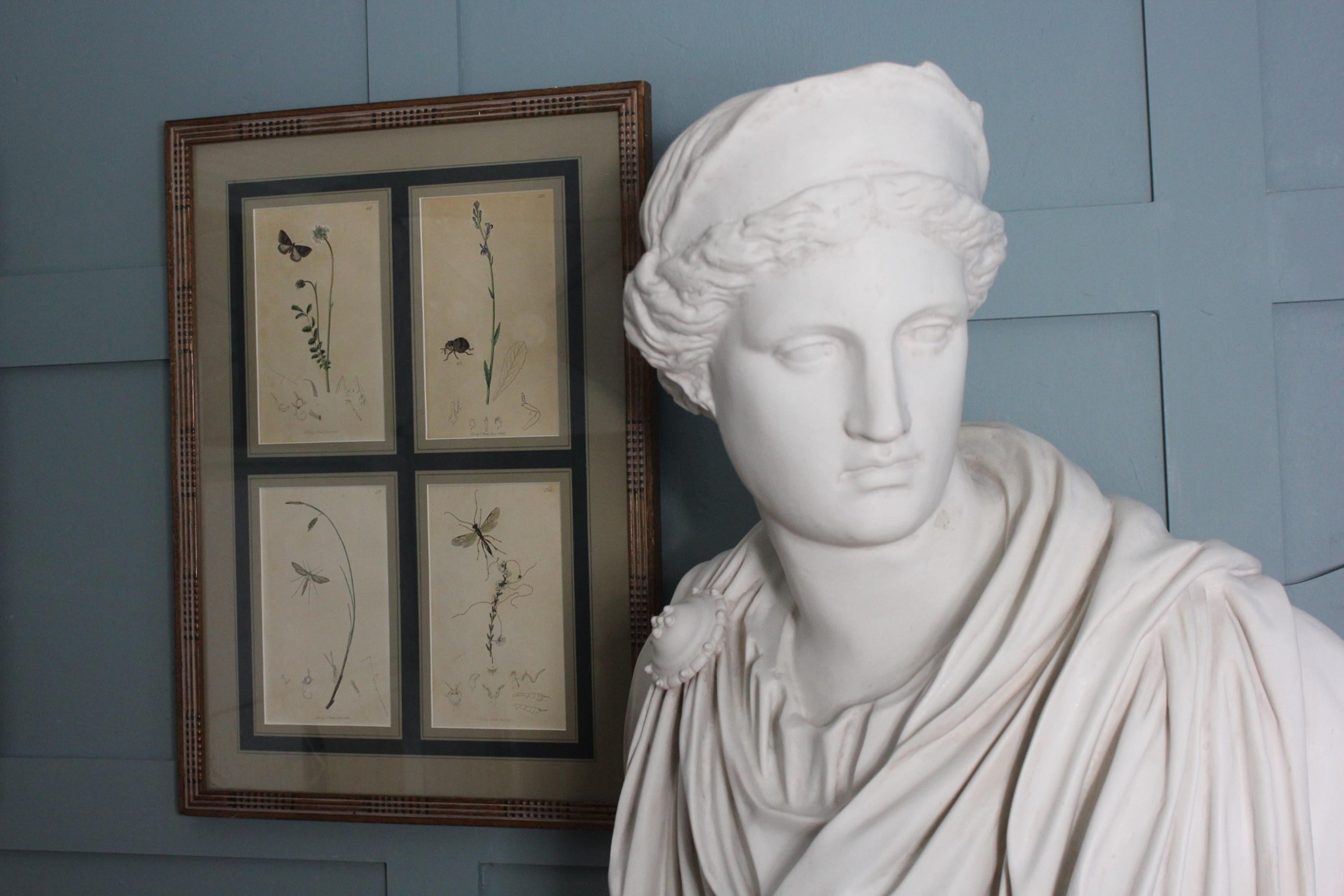 Dopo Antique Vintage composite Marble bust Anthony Redmile In condizioni buone in vendita a Seaford, GB