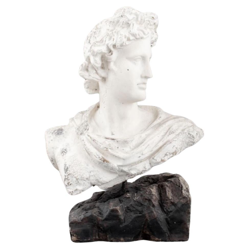 After Apollo Belvedere Cast Stone Bust Sculpture
