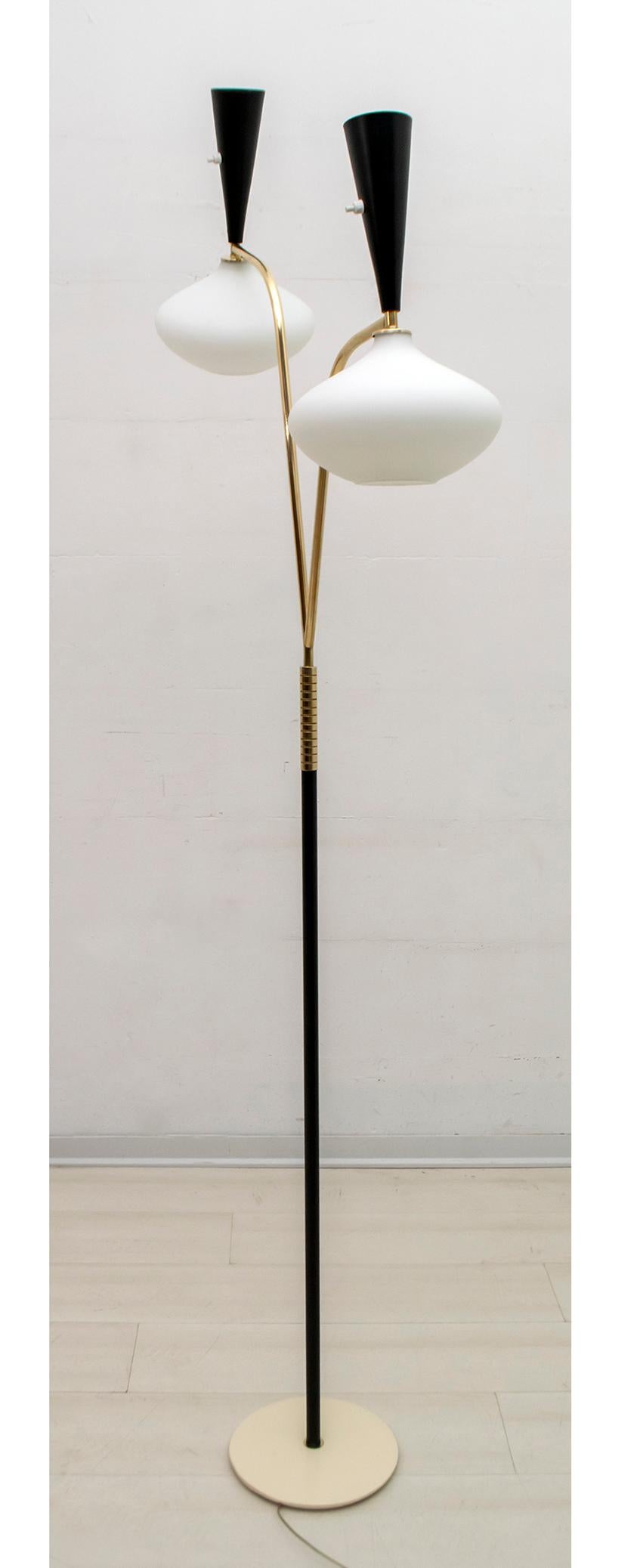 After Arredoluce Mid-Century Modern Italian Floor Lamp, 1950s 4
