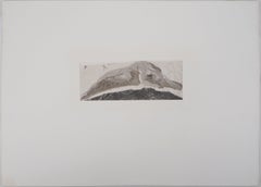 Attached to the Rock - Etching, 1897