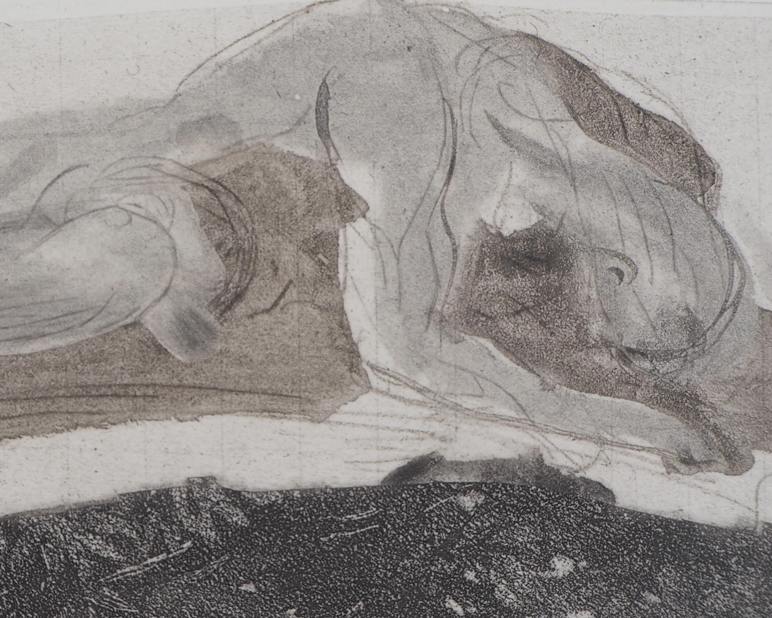 Auguste RODIN (nach)
Am Felsen befestigt, 1897

Radierung mit Aquarellierung
Auf Pergament 31 x 42,5 cm (ca. 12,2 x 16,7 Zoll)
Auf 125 Exemplare limitierte Auflage, die mit dem Echtheitszertifikat und der Fotokopie der Rechtfertigungsschrift des