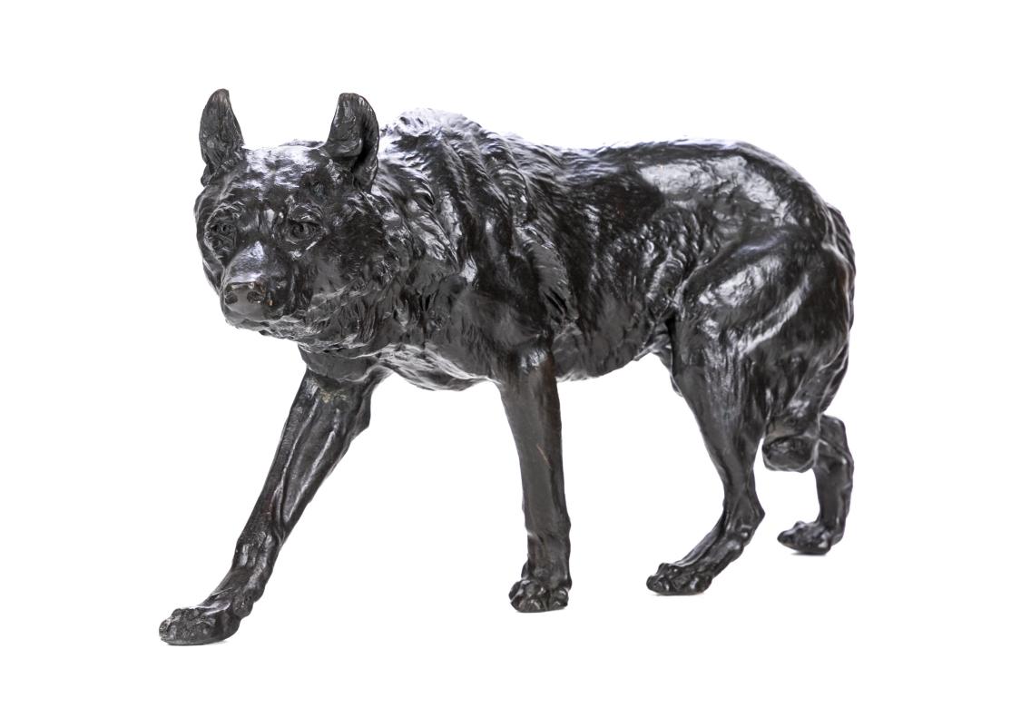 Sculpture en bronze de Charles Valton représentant un loup à l'affût.  La sculpture est finie dans une patine brun foncé et est signée sur le bout de la queue 