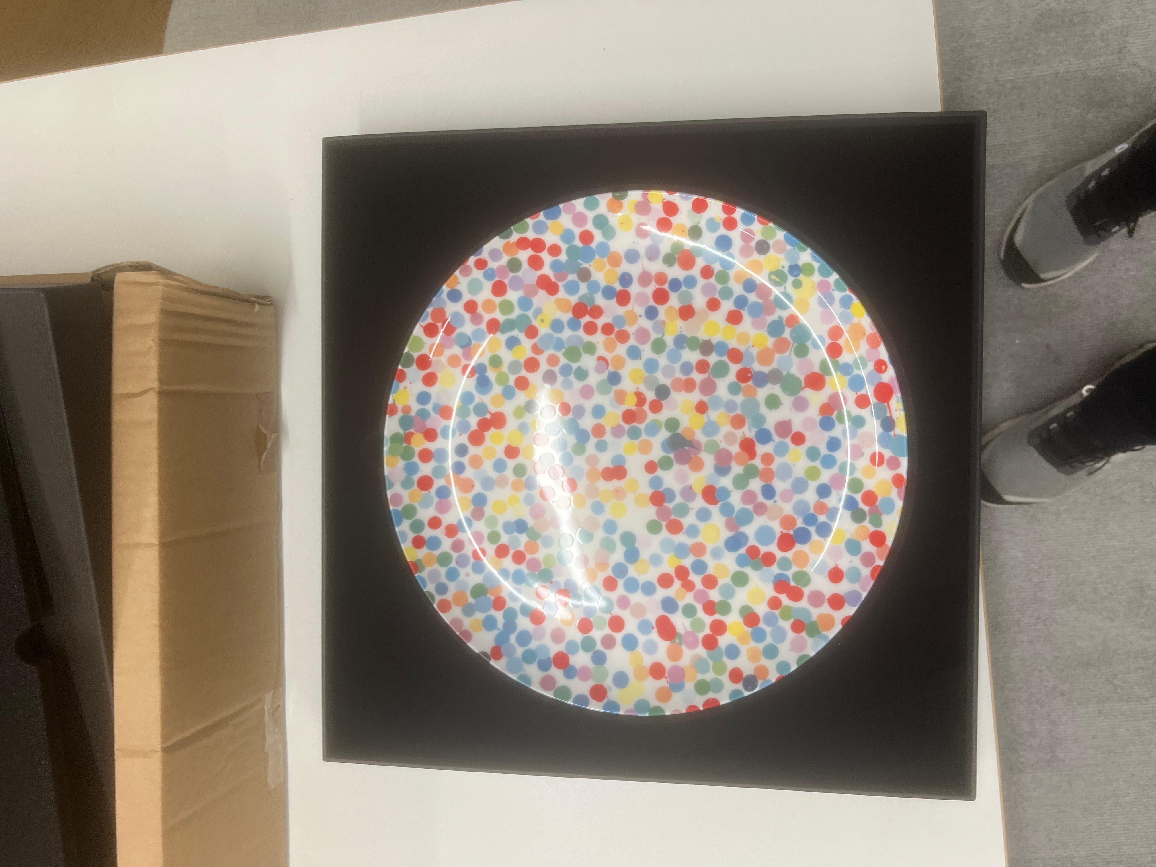 All Over Dot Plate by Damien Hirst For Sale 3