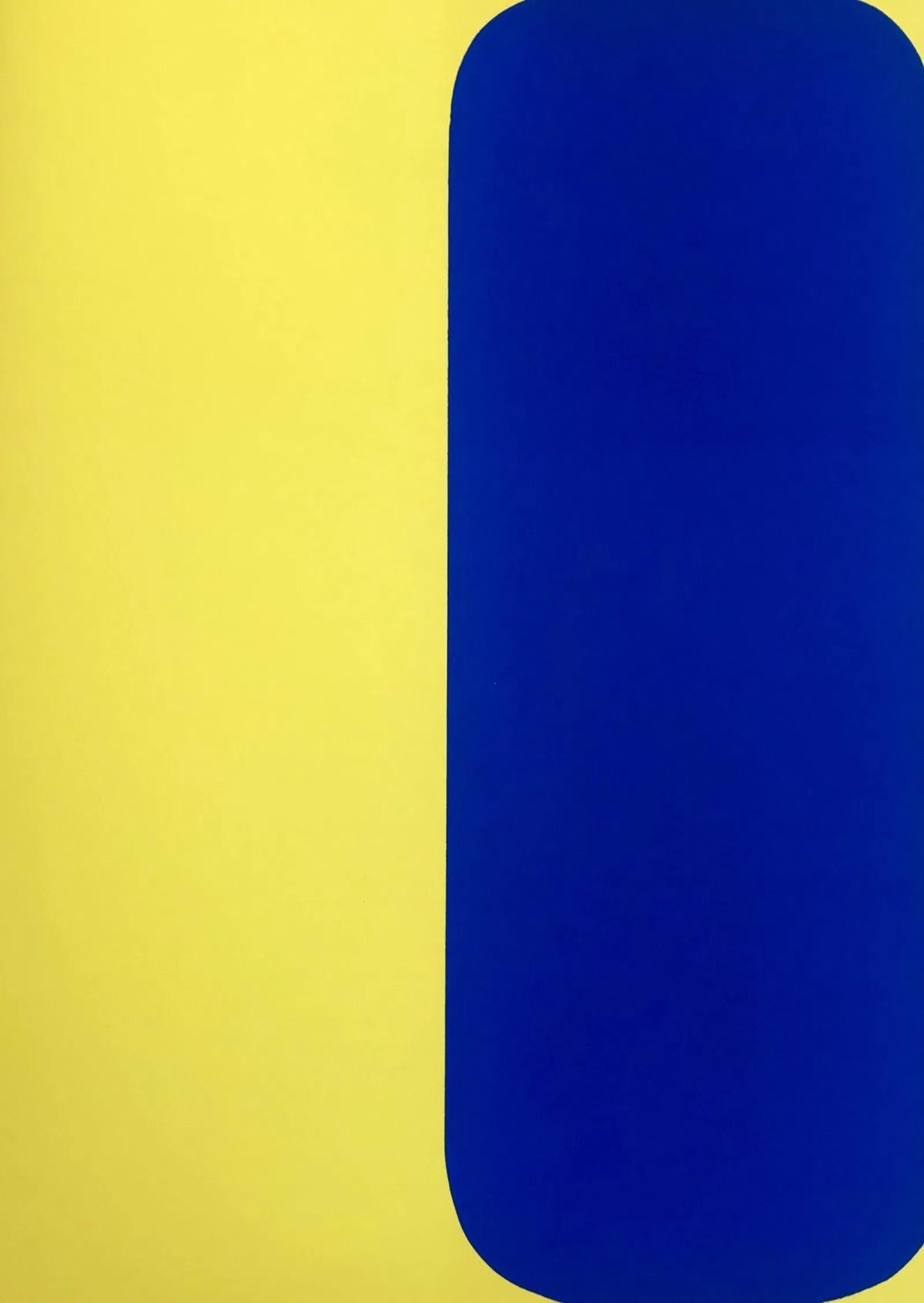 Ellsworth Kelly - Geometria astratta IX, 1964 Litografia da DLM - Print di (after) Ellsworth Kelly