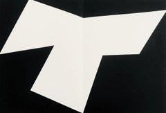 Ellsworth Kelly - Composition 1958 Lithograph From DLM