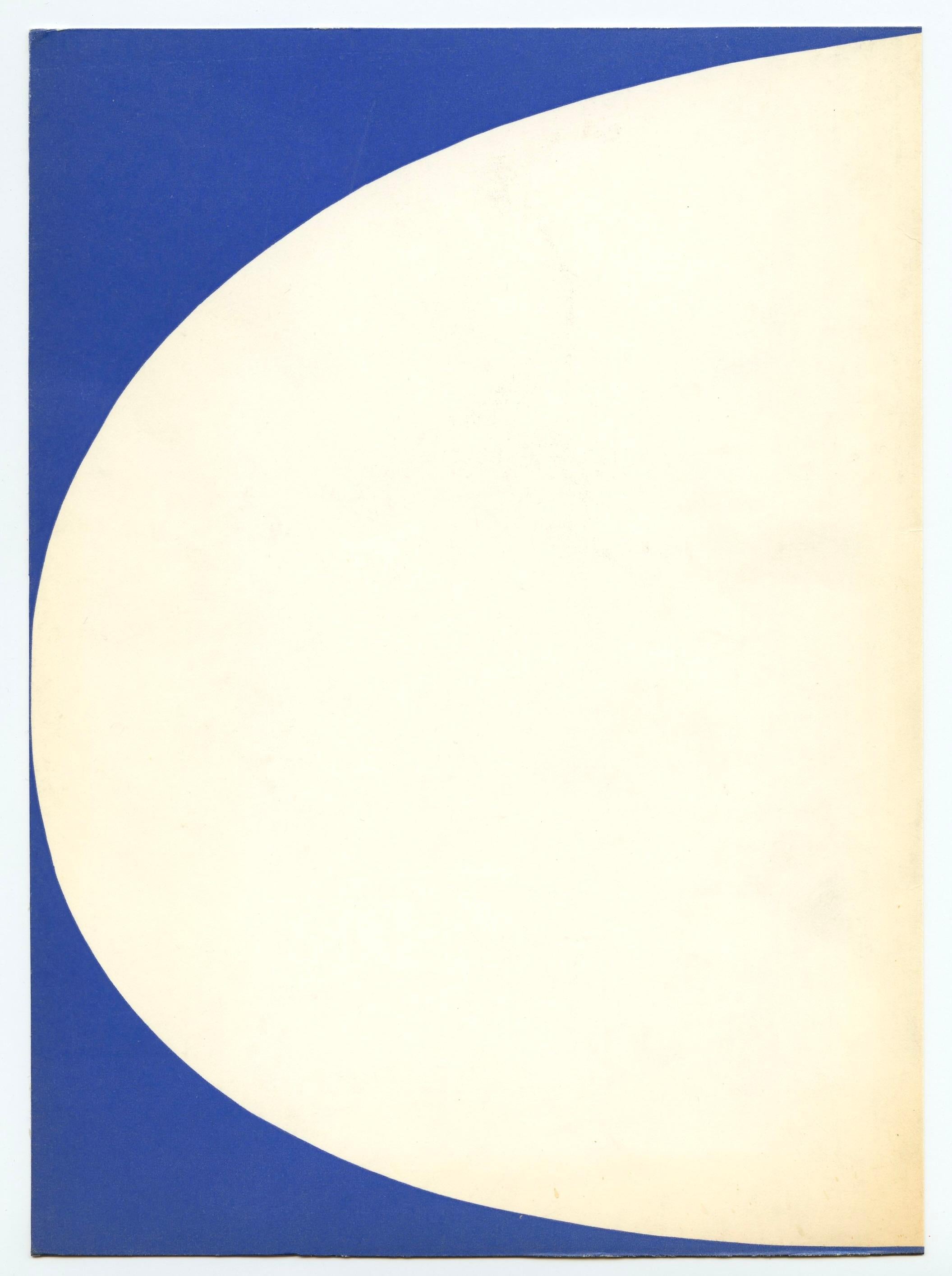 lithograph - Print by (after) Ellsworth Kelly