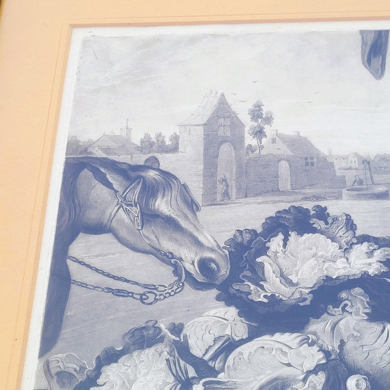 After F Snyders, Suite Of 5 Engravings On The 