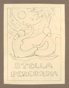 Stella Peregrina