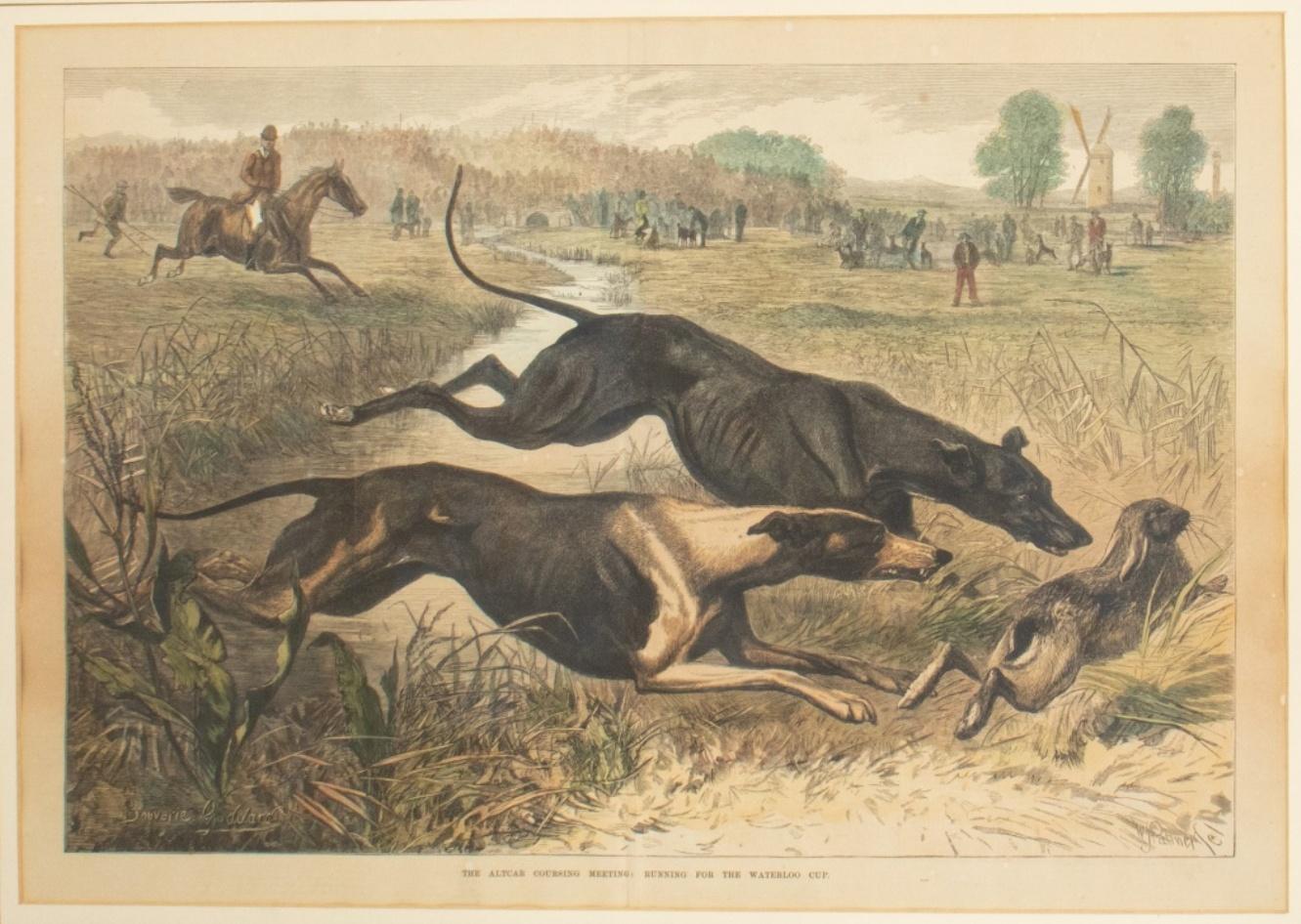 After George Bouverie Goddard (British, 1832-1886) hunting color engraving with two greyhound dogs running after an hare, signed in plate to lower left, housed in a wood frame.

Dimensions: Image: 14