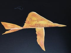 Oedipe Roi: Phoéton