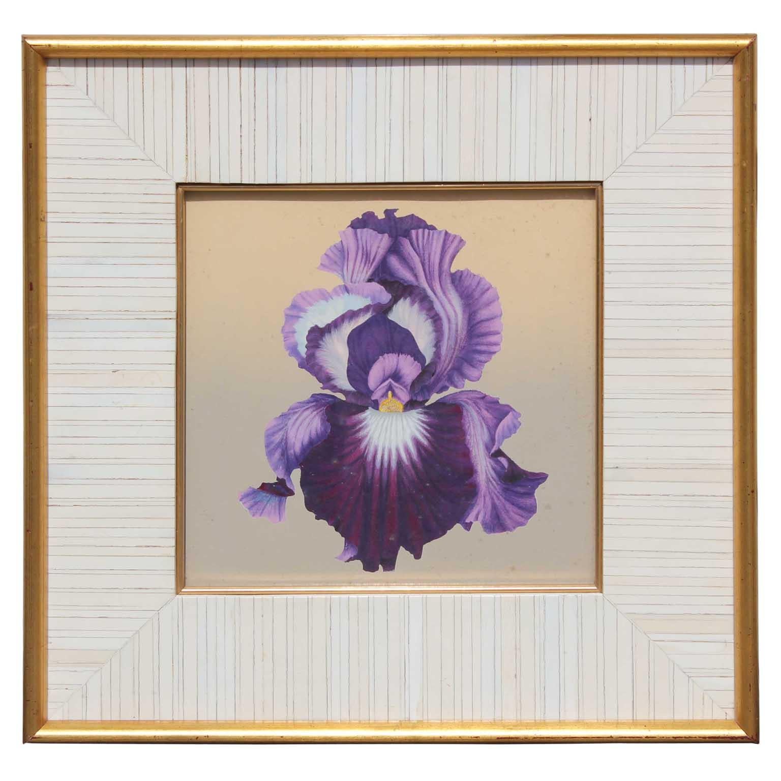 Natura morta di iris viola