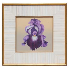 Purple Iris Still Life