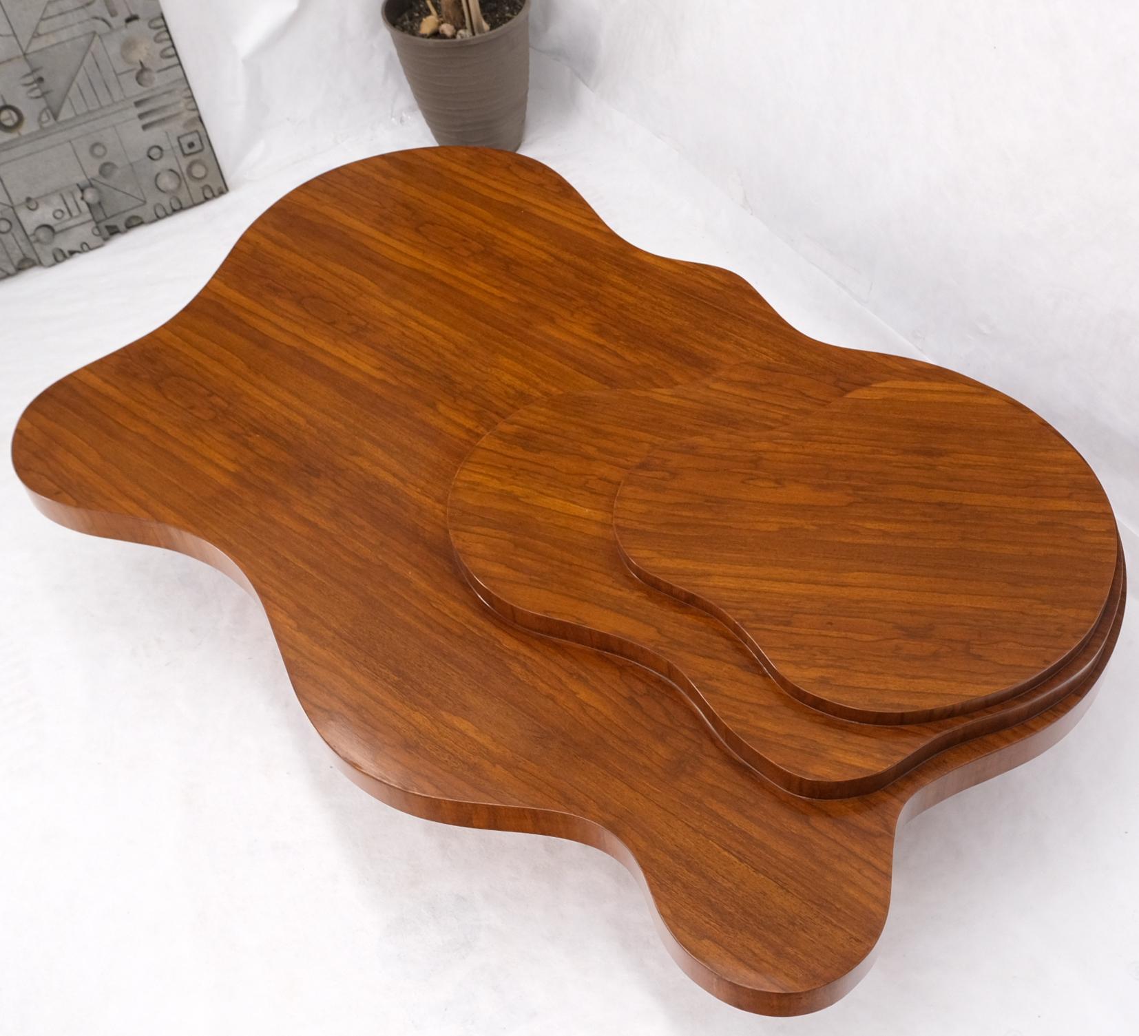 Mid-Century Modern Organic Ameba Shape Molded Plywood Multi Layer Mesa Coffee Table