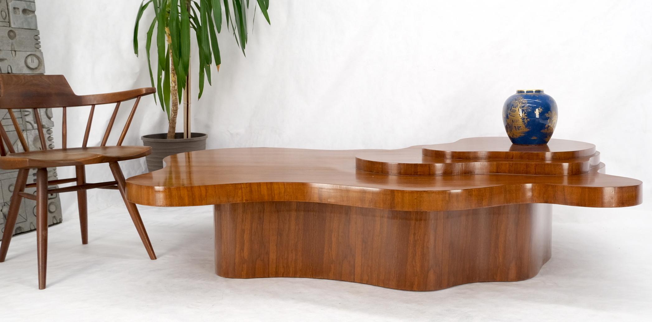 Lacquered Organic Ameba Shape Molded Plywood Multi Layer Mesa Coffee Table