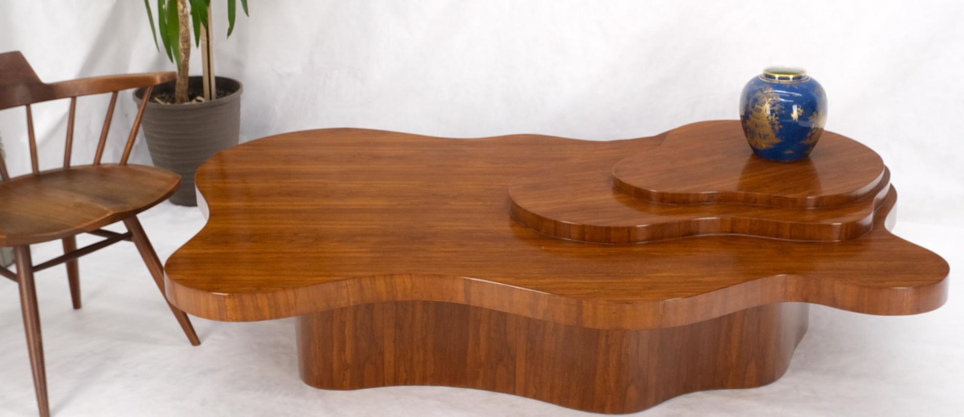Organic Ameba Shape Molded Plywood Multi Layer Mesa Coffee Table In Good Condition In Rockaway, NJ