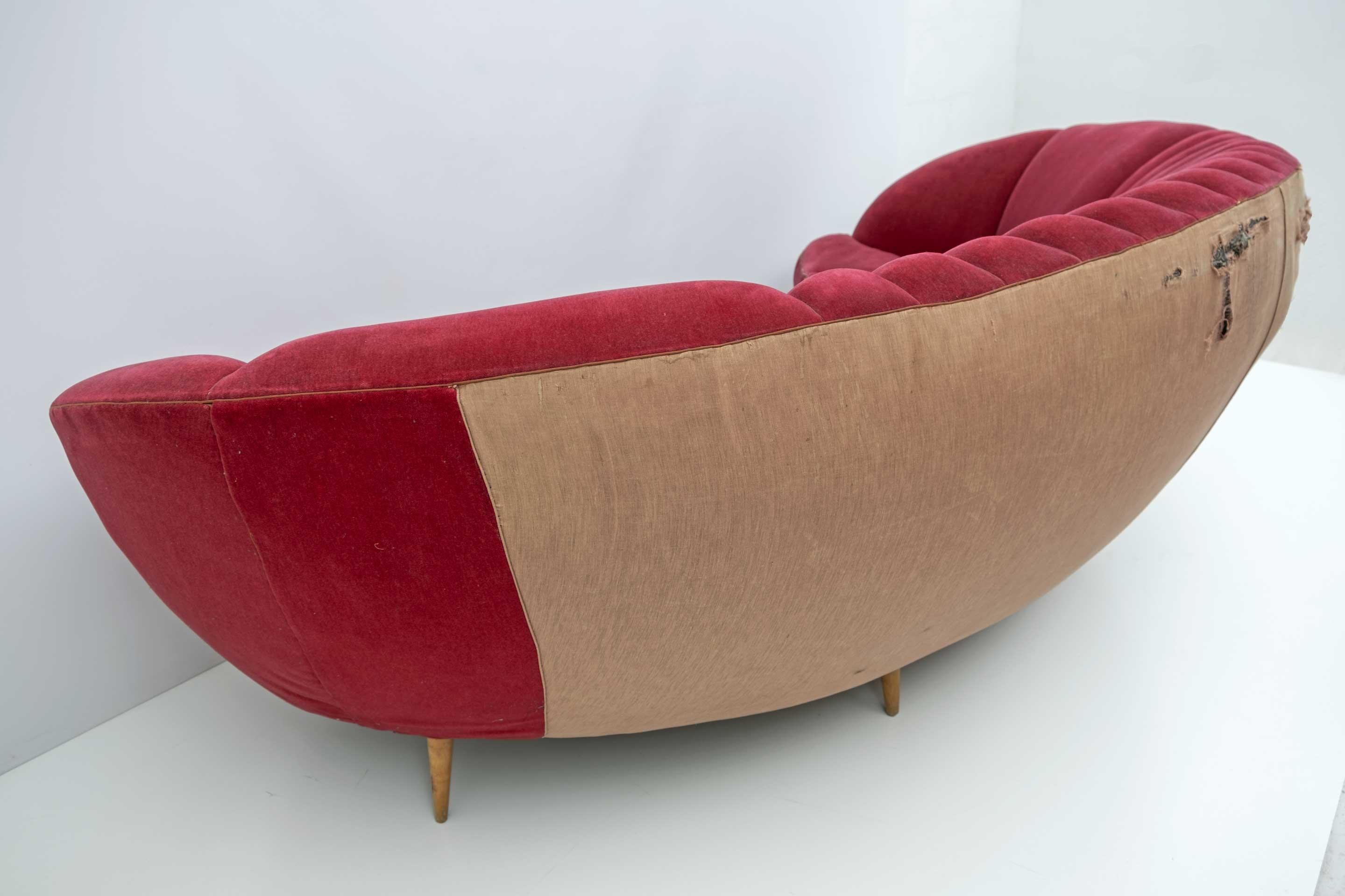Beech After Gio Ponti Mid-Century Modern Italian Curved Sofa by ISA Bergamo, 50s For Sale