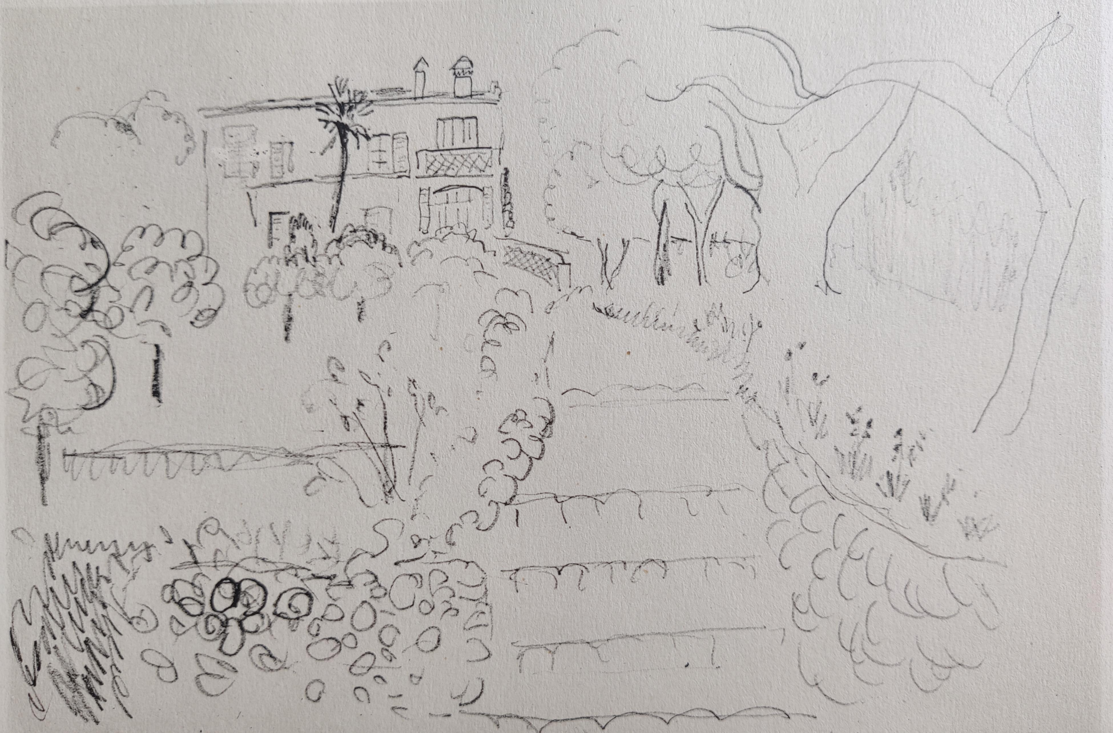 (after) Henri Matisse -- The Provençal Garden