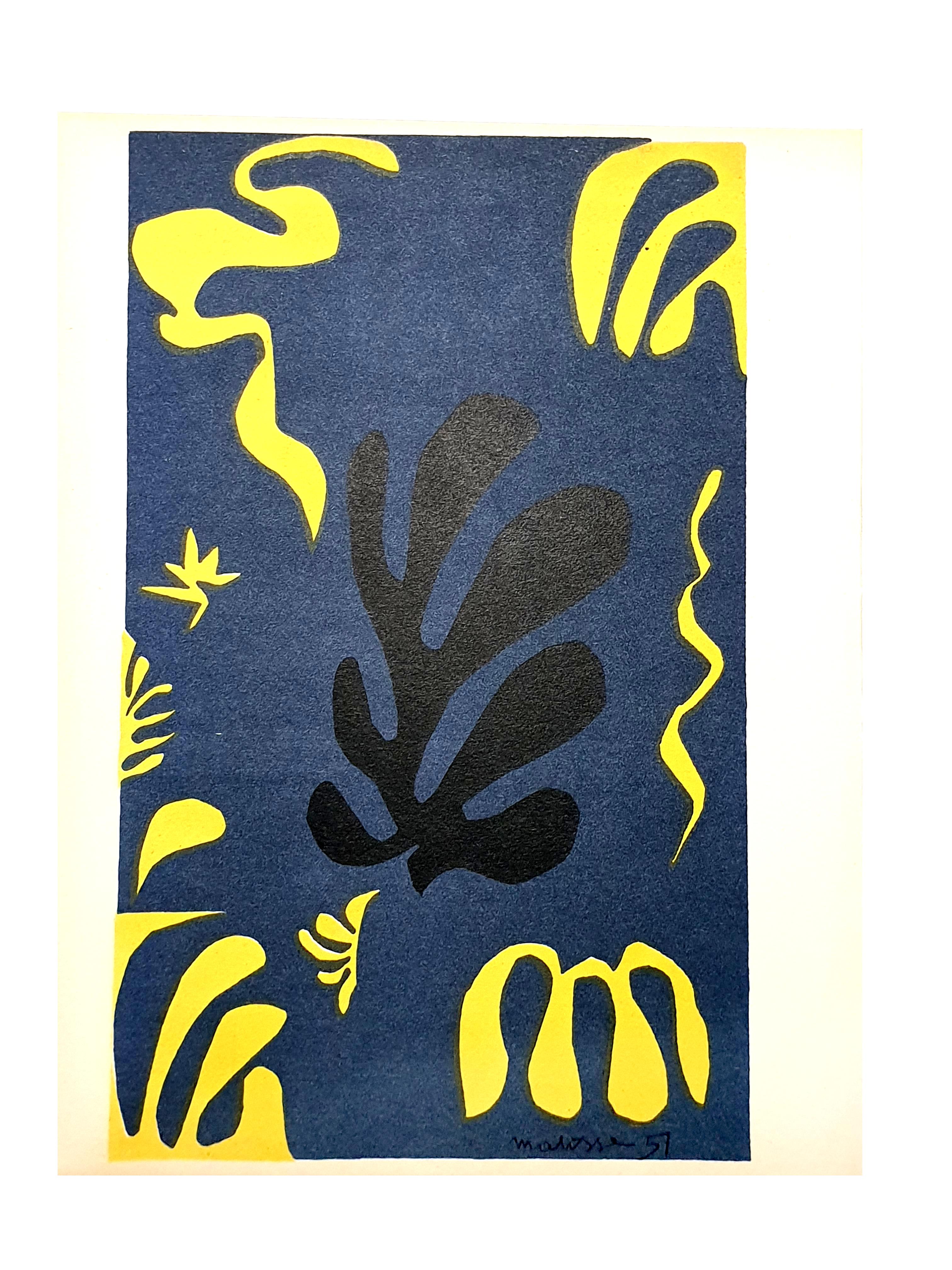 (after) Henri Matisse Portrait Print - Henri Matisse (After) - Plants - Lithograph