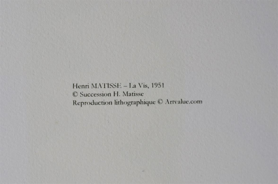 henri matisse la vis