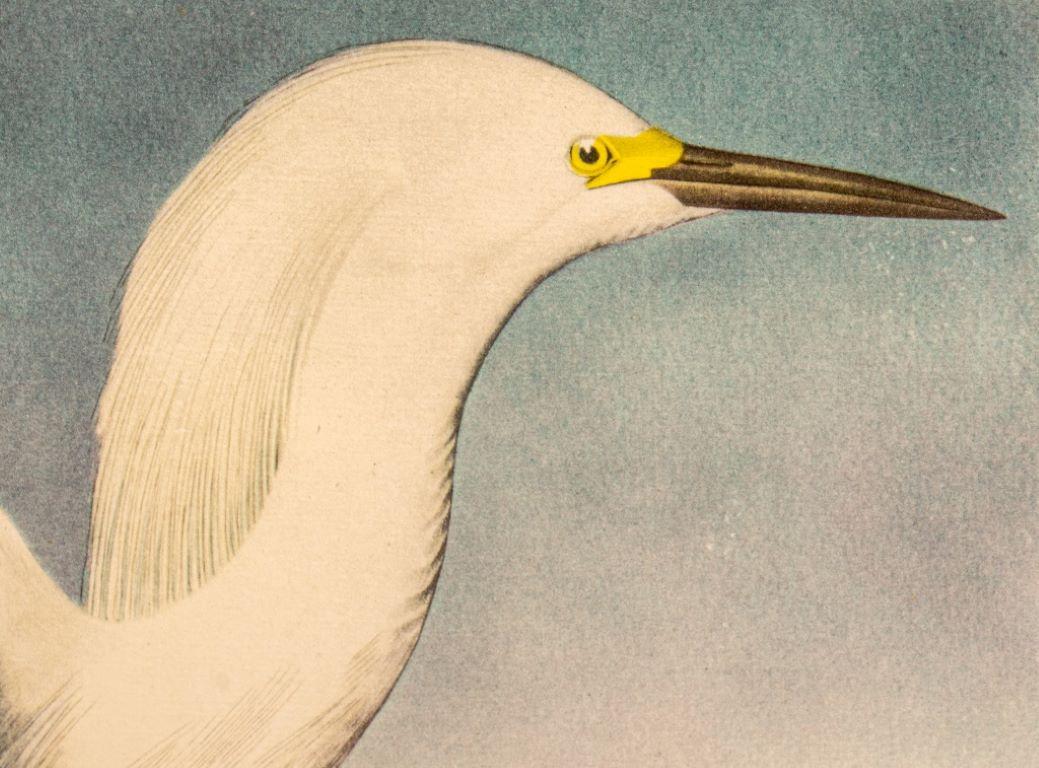 20ième siècle Imprimé Snowy Heron de James Audubon en vente