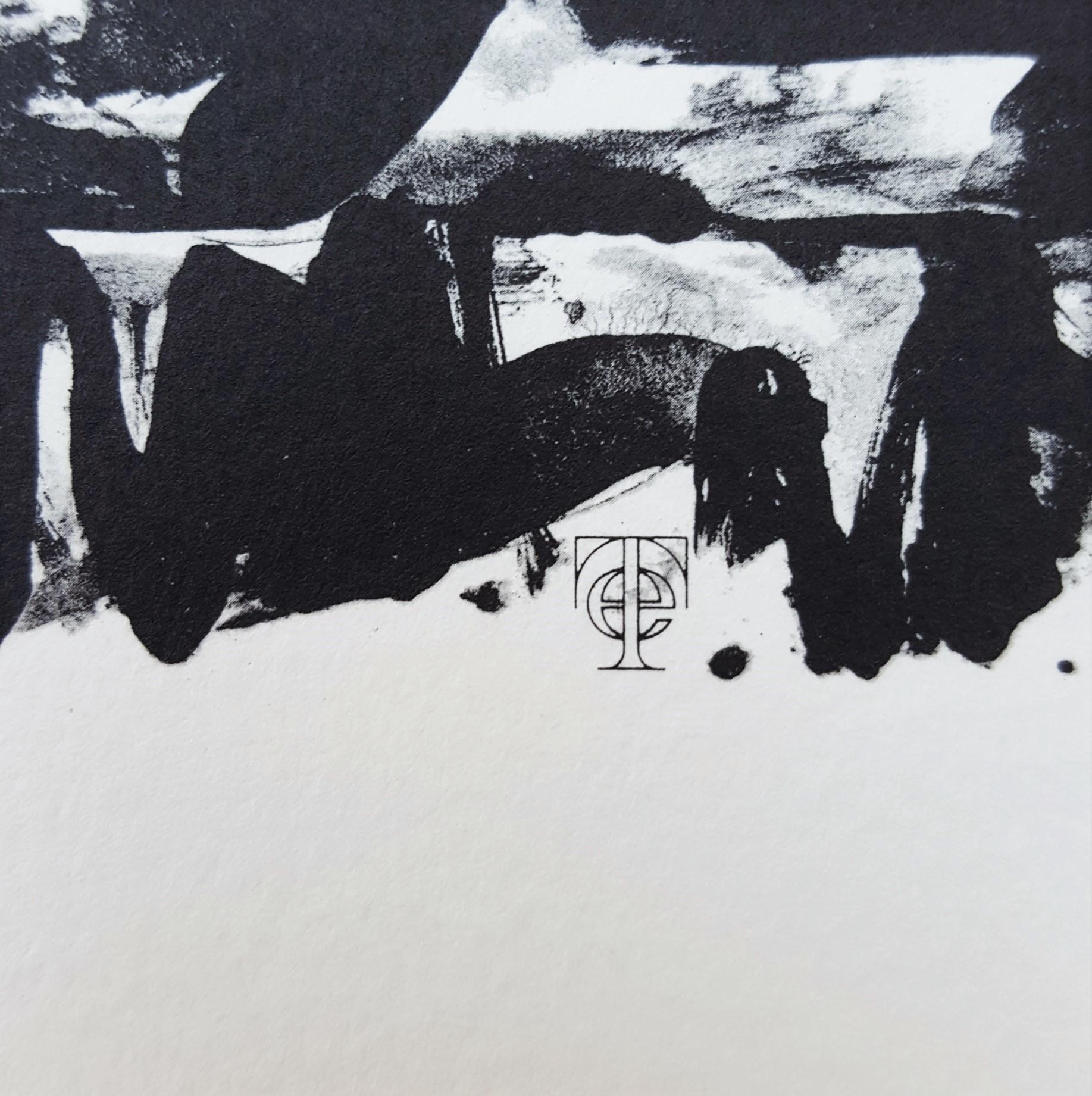 Flagge I /// Pop Art Jasper Johns Abstrakte Lithographie Schwarz Modern Amerikanisch ULAE im Angebot 6