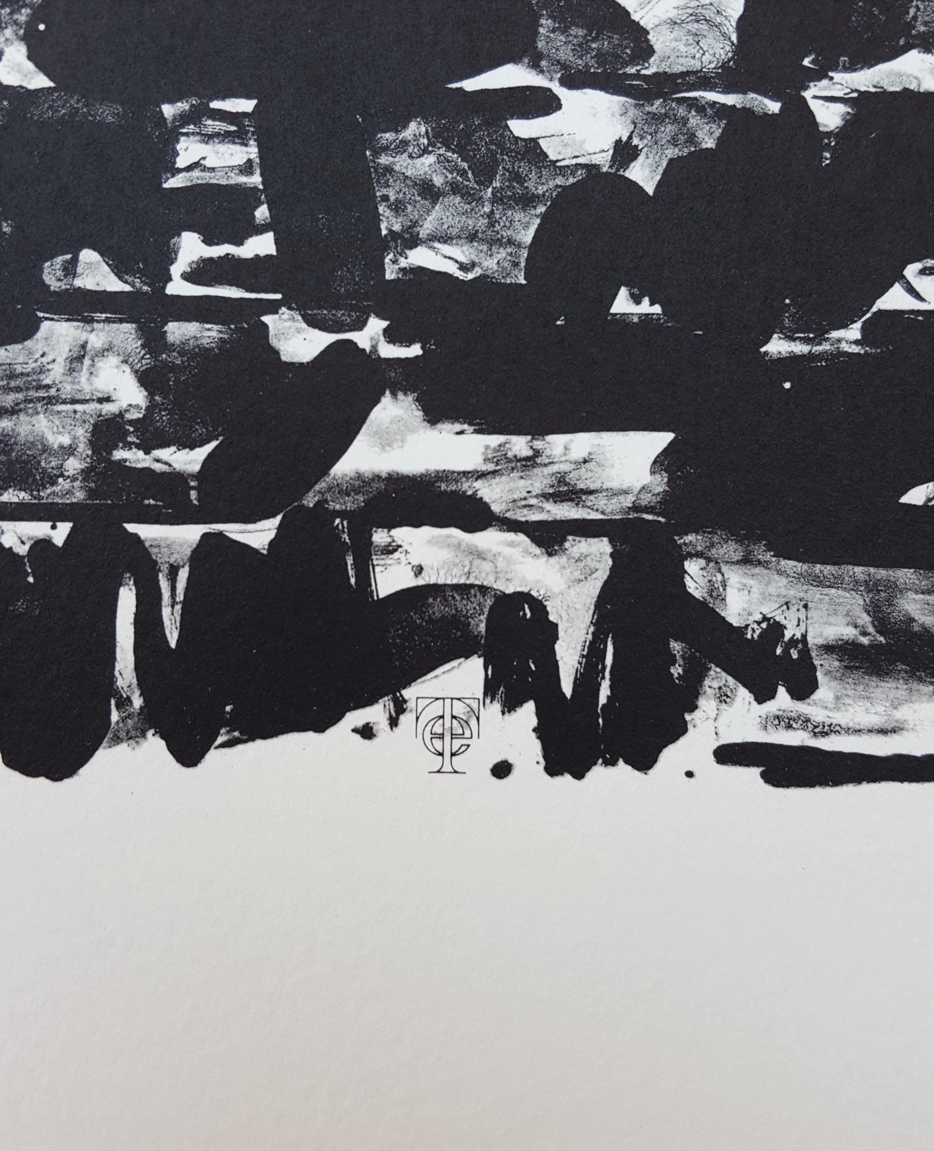 Flagge I /// Pop Art Jasper Johns Abstrakte Lithographie Schwarz Modern Amerikanisch ULAE im Angebot 5