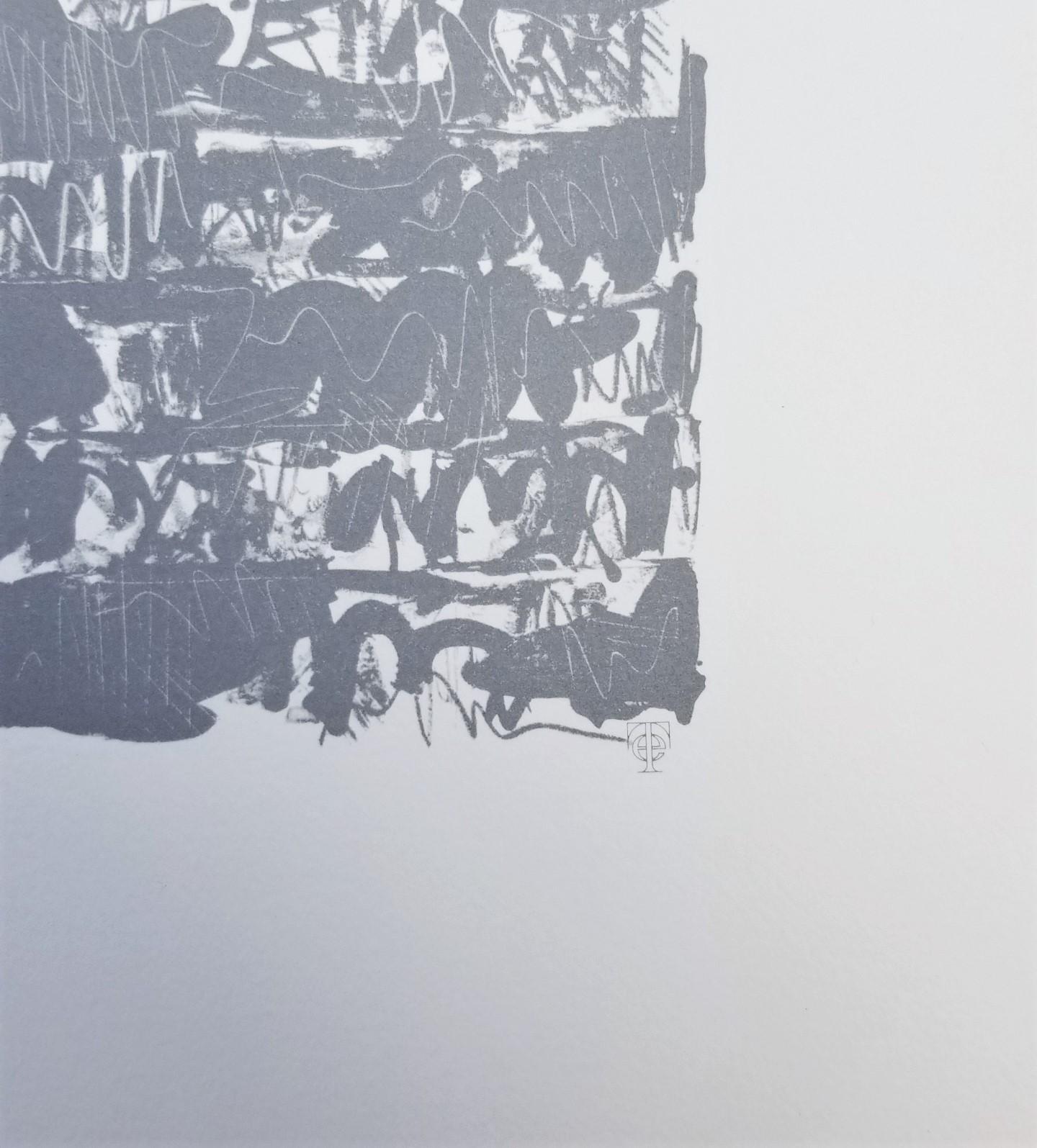 Flagge III /// Pop Art Jasper Johns Abstrakte Lithographie Amerika Minimalismus ULAE  im Angebot 9