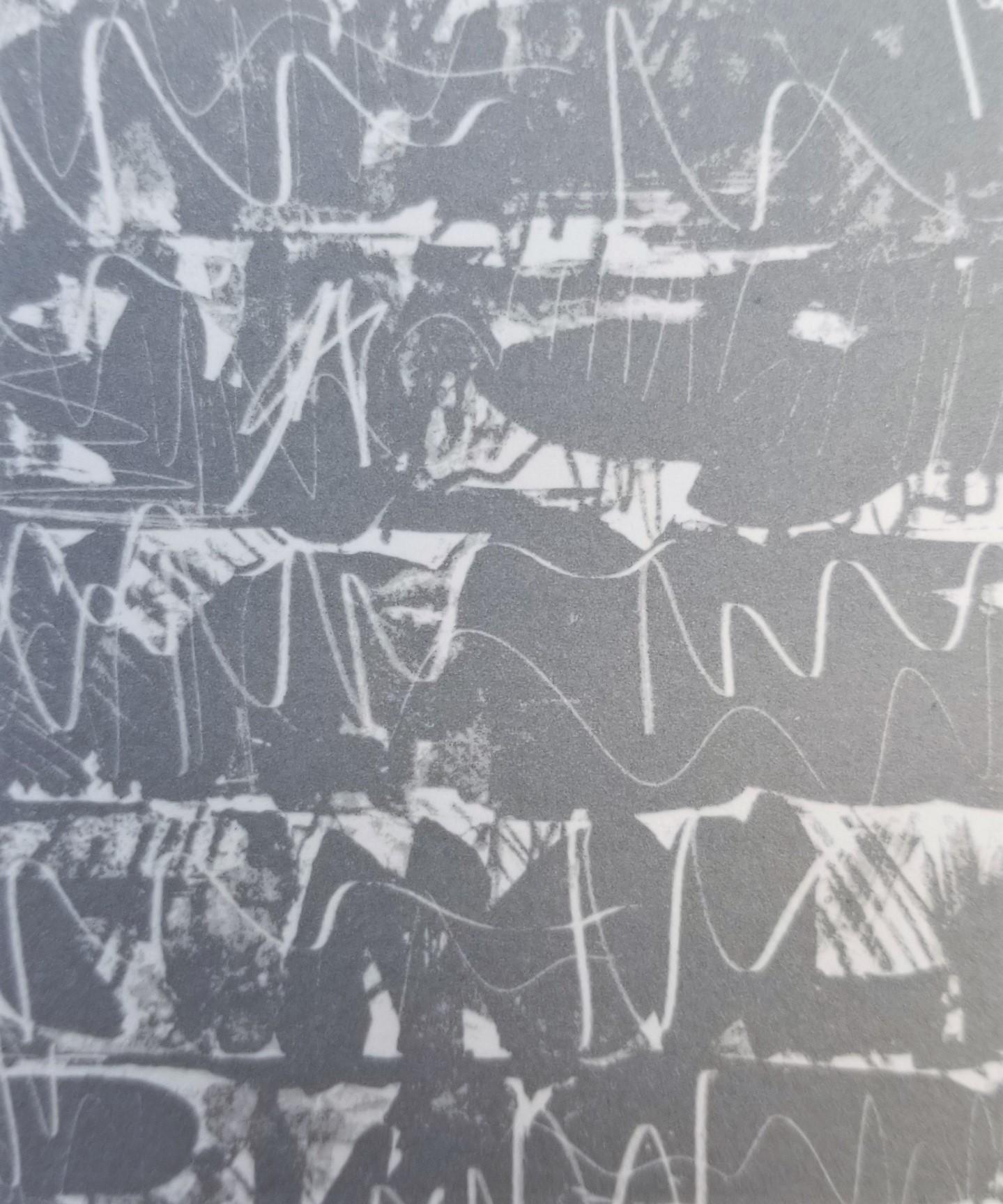 Flag III /// Pop Art Jasper Johns Abstract Lithograph America Minimalism ULAE  For Sale 11