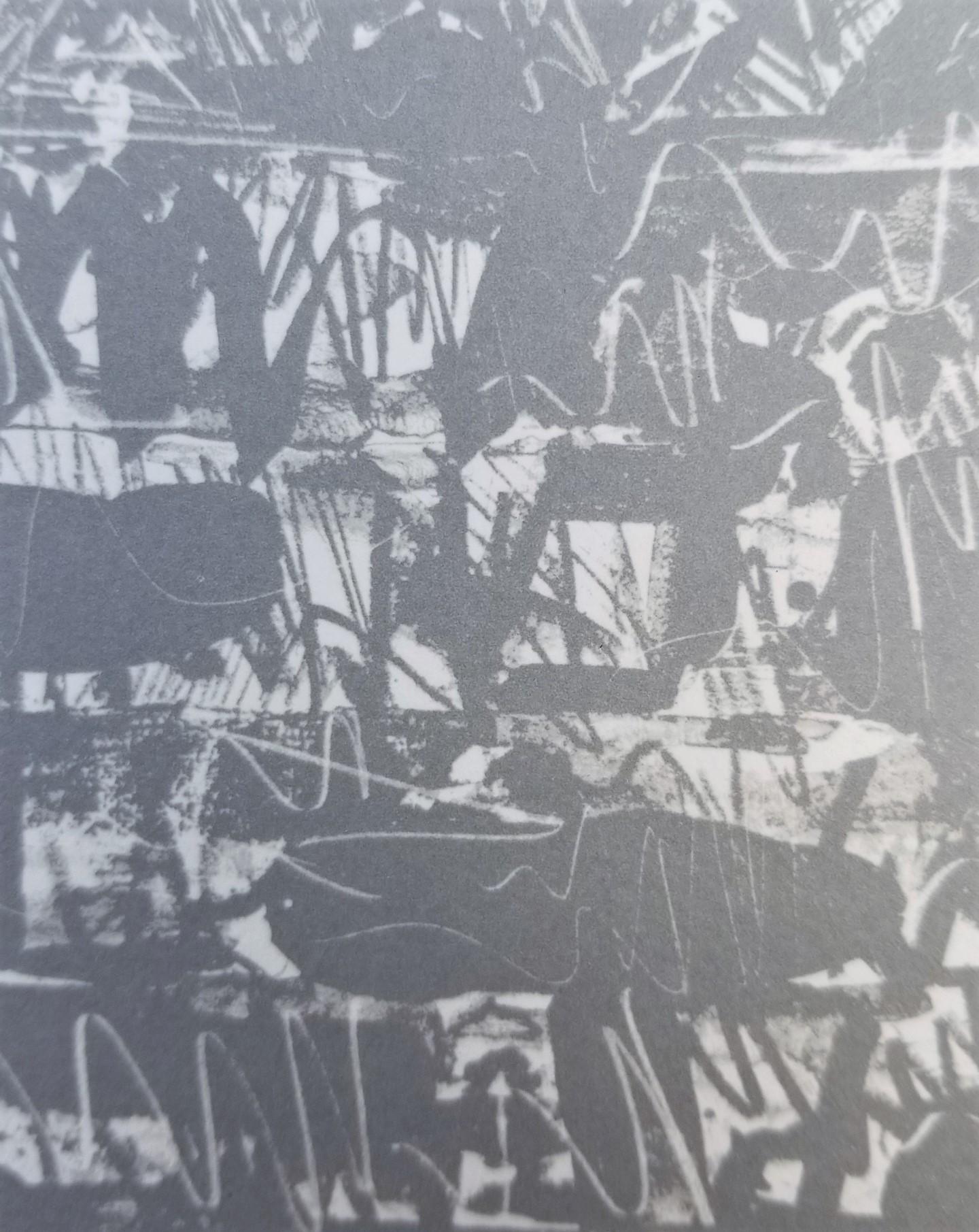 Flag III /// Pop Art Jasper Johns Abstract Lithograph America Minimalism ULAE  For Sale 13
