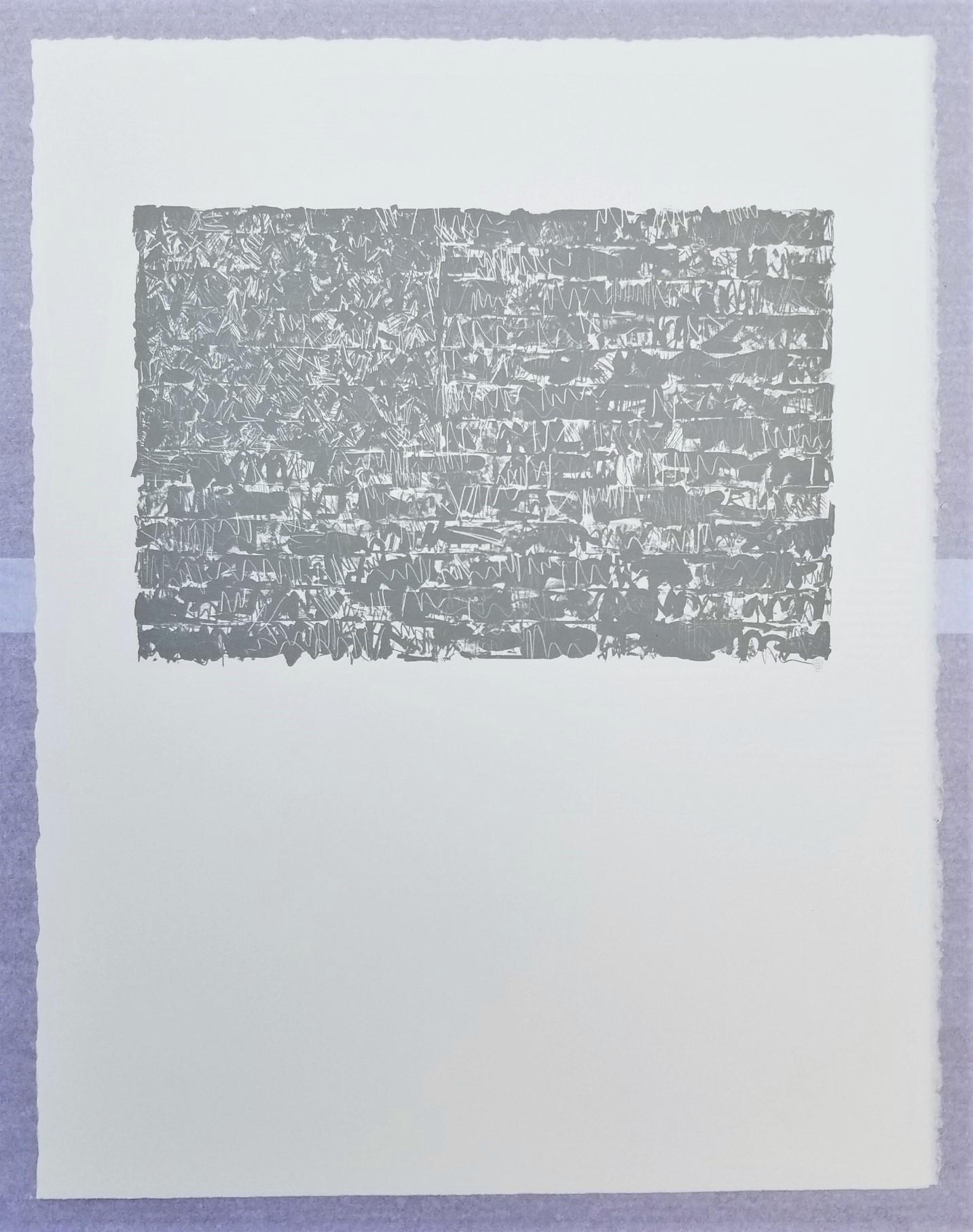 Flagge III /// Pop Art Jasper Johns Abstrakte Lithographie Amerika Minimalismus ULAE  im Angebot 2