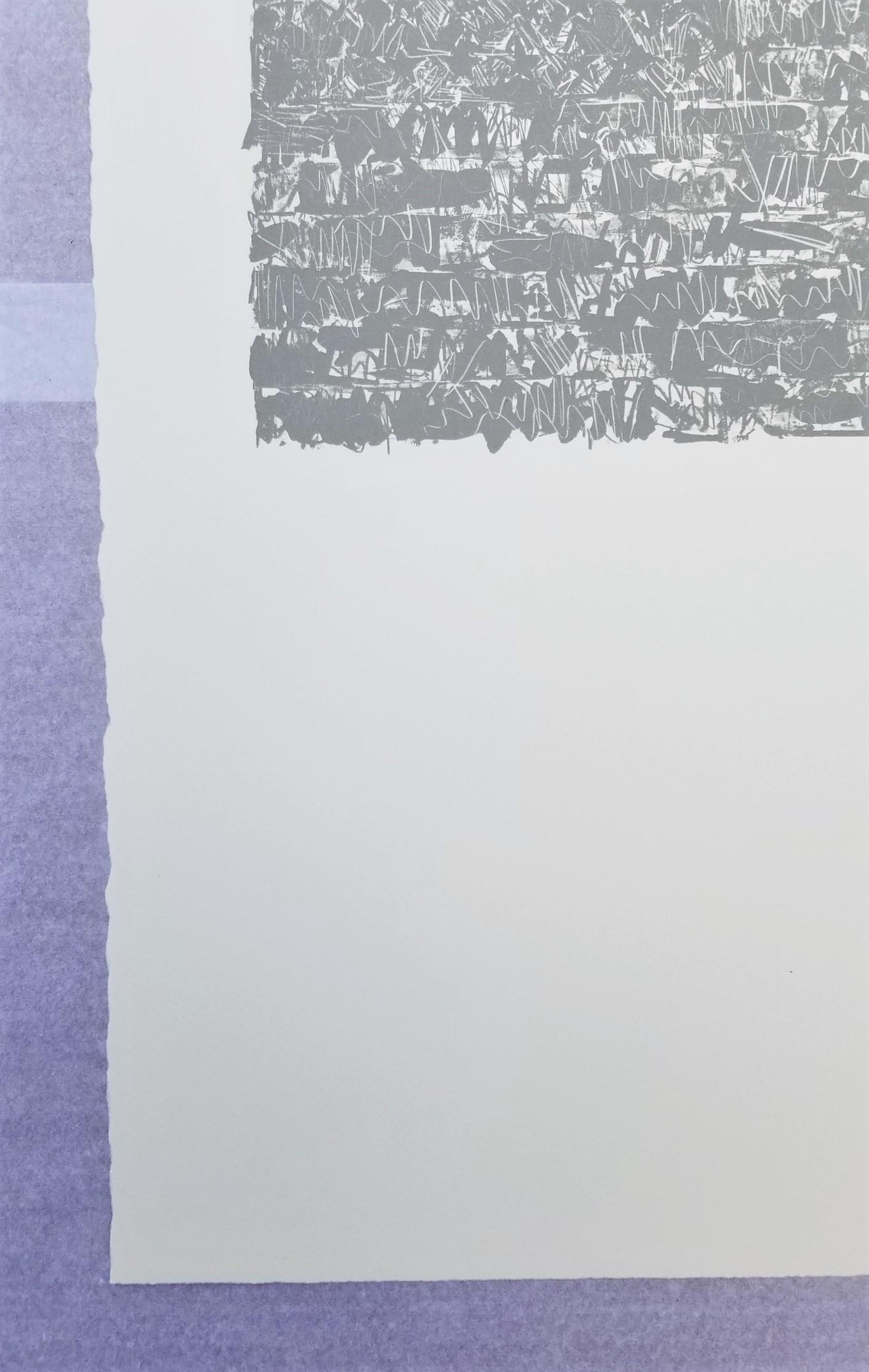 Flagge III /// Pop Art Jasper Johns Abstrakte Lithographie Amerika Minimalismus ULAE  im Angebot 3