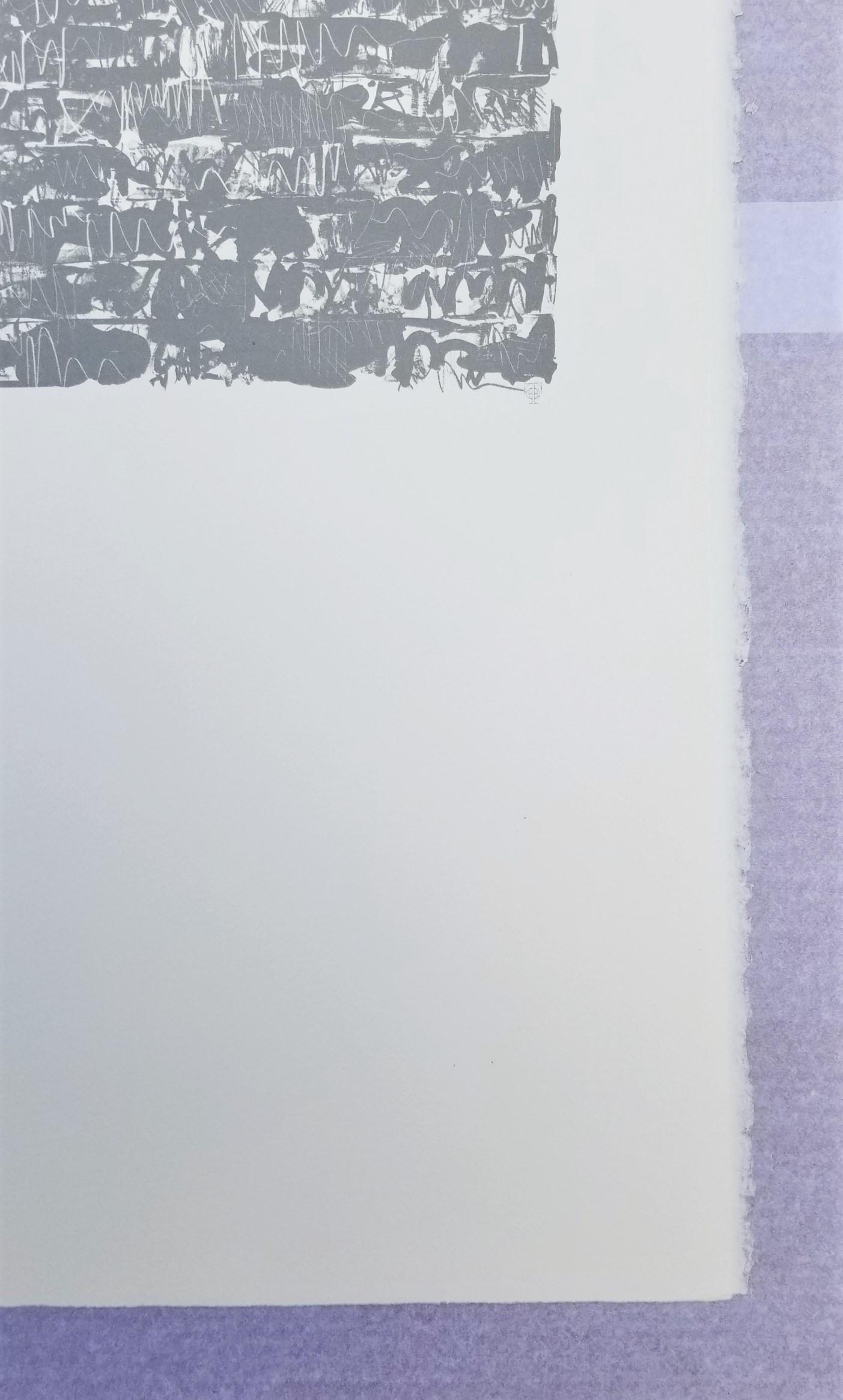 Flag III /// Pop Art Jasper Johns Abstract Lithograph America Minimalism ULAE  For Sale 5