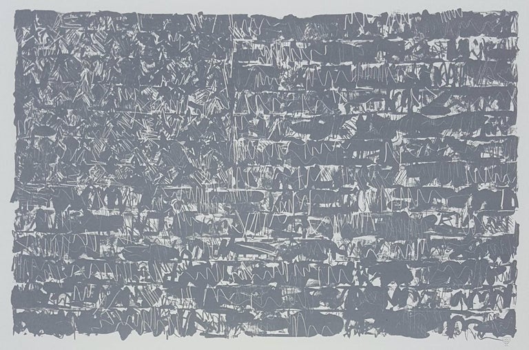 After Jasper Johns Flag Iii For Sale At 1stdibs After Jasper Johns Flag Iii For Sale At 1stdibs