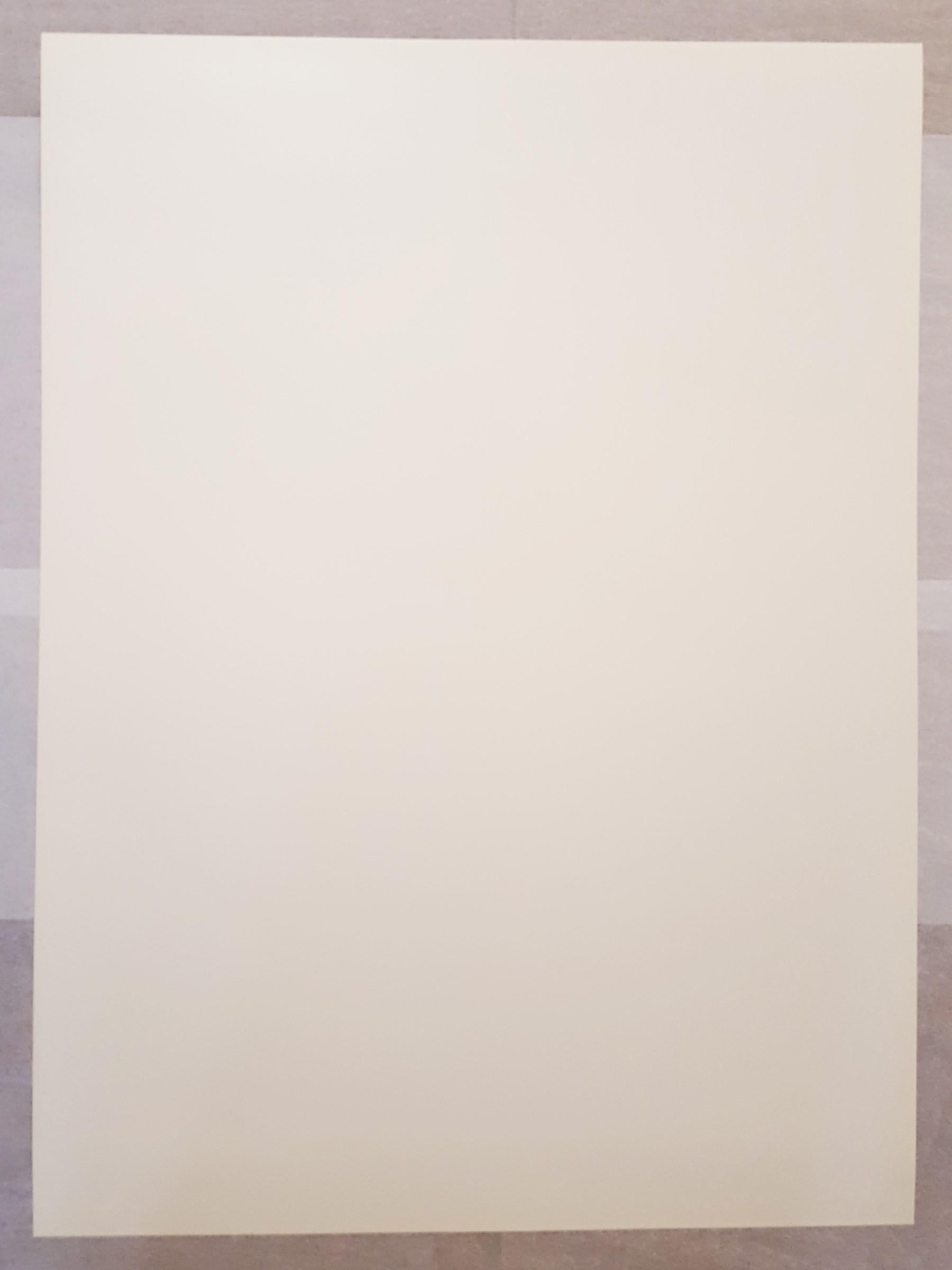 Jasper Johns Drawings 1970-80 13