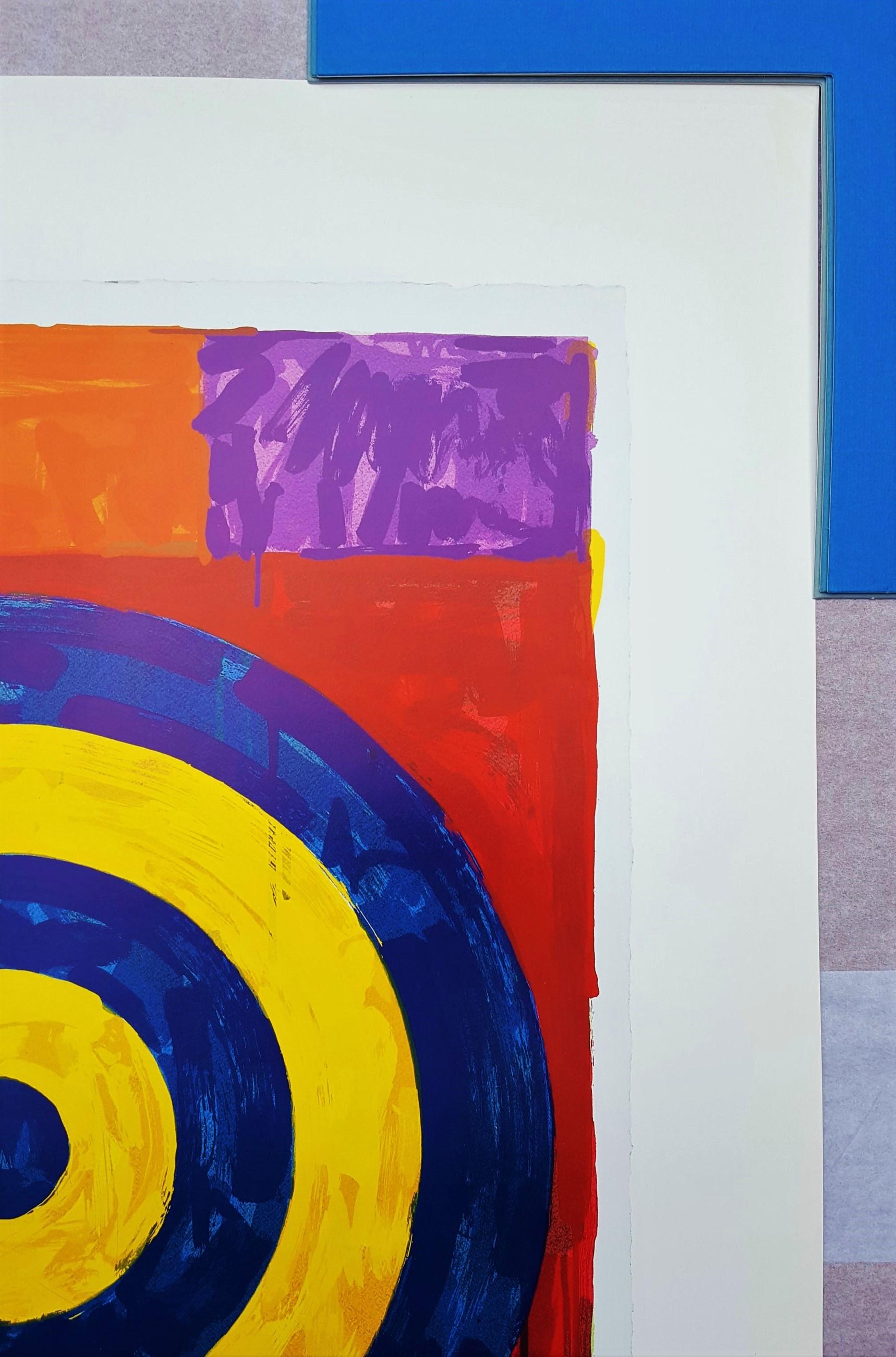 jasper johns bullseye
