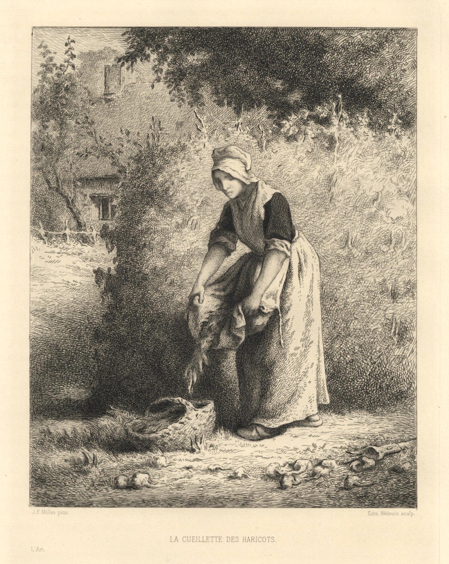 "La cueillette des haricots" etching - Print by (after) Jean François Millet