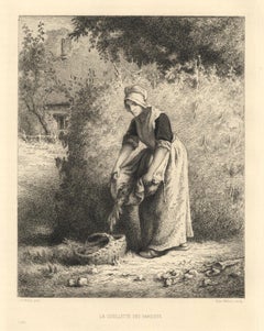 Antique "La cueillette des haricots" etching