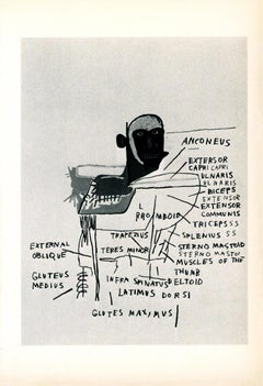 Basquiat Annina Nosei Gallery 1982 (Basquiat anatomy announcement)