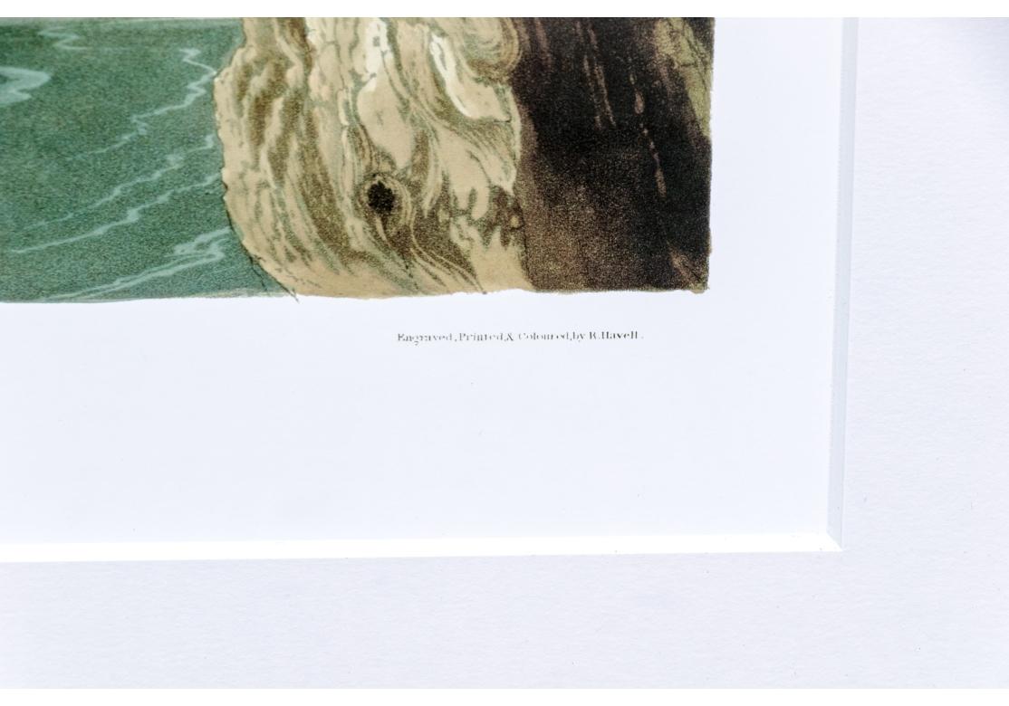 Nach J.J. Audubon, Farbfoto-Lithographie-Reprint Kingsfisher mit Gürtel und Gürtel im Angebot 9