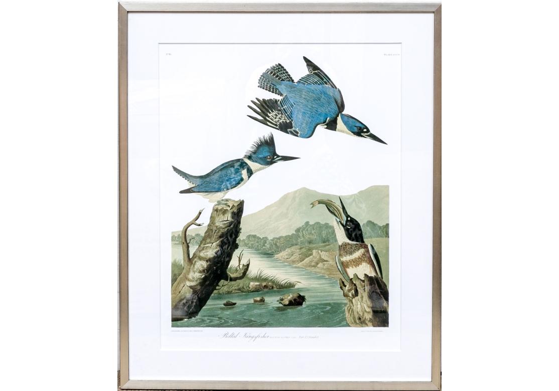 Das Original gestochen und gedruckt von Havell. Dieser lithografische Nachdruck stammt höchstwahrscheinlich aus einer von mehreren großformatigen limitierten Auflagen auf feinem weißen Papier. 
Das Bild wird in einem vergoldeten Silberrahmen mit