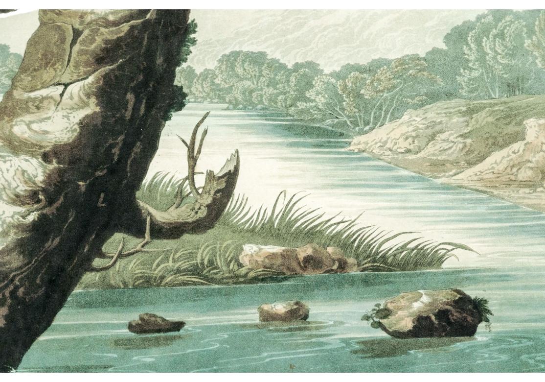 Nach J.J. Audubon, Farbfoto-Lithographie-Reprint Kingsfisher mit Gürtel und Gürtel im Angebot 2