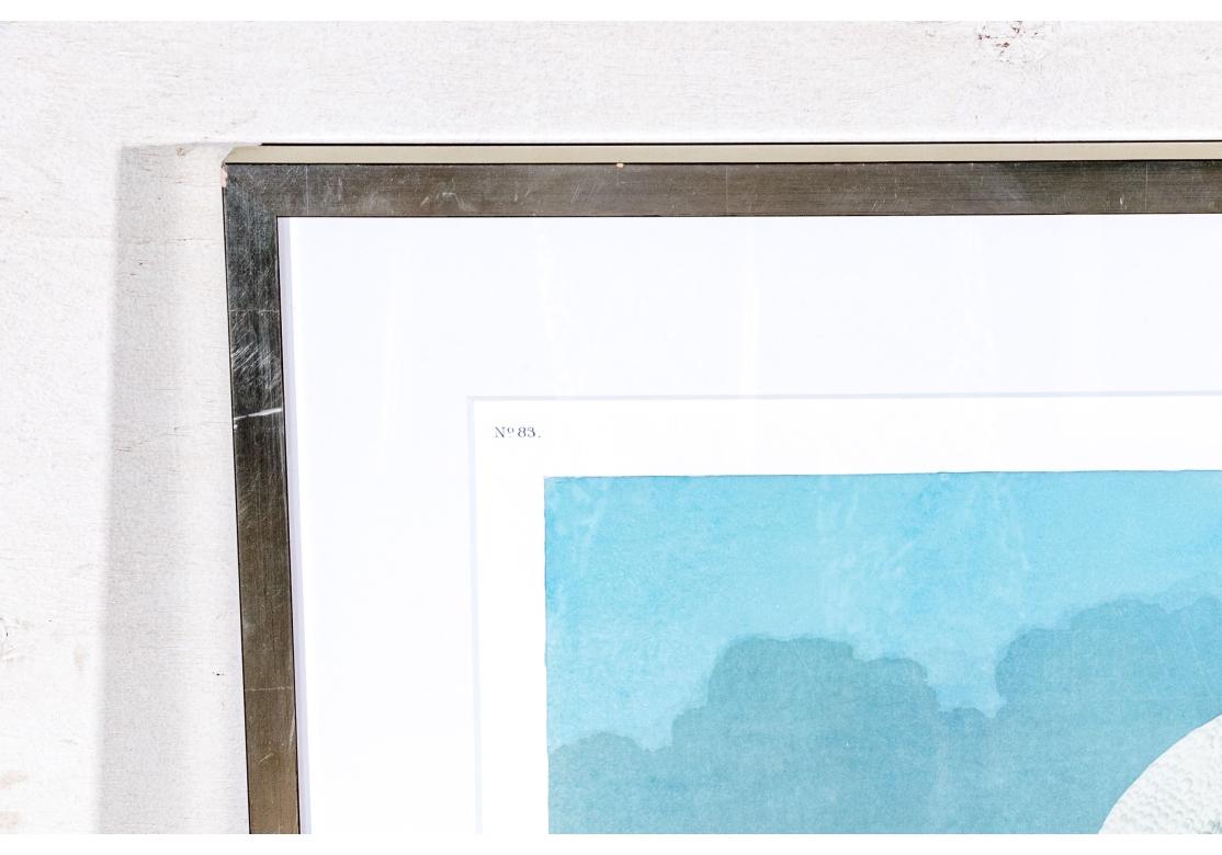 After J.J. Audubon, Large Format Photo-lithograph Reprint - Common American Swan For Sale 12