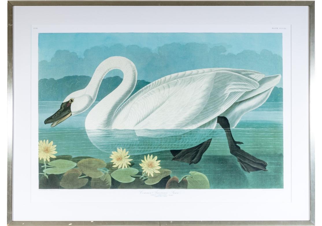 The original engraved by Robert Havel 1838. This print probably from the large format limited Amsterdam Edition, 1971-72 on fine paper. Handsomely presented matted within a silver gilt frame and glazed with plexiglass.   

Dimensions: 

Frame - 34