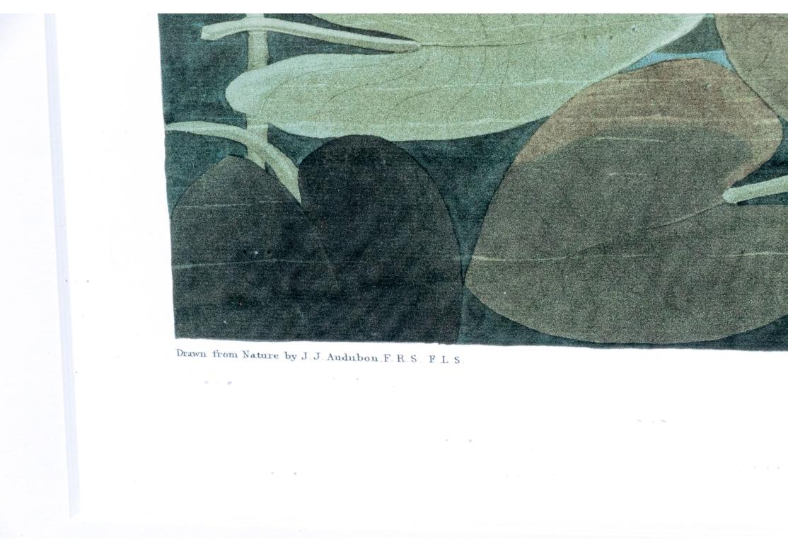 After J.J. Audubon, Large Format Photo-lithograph Reprint - Common American Swan For Sale 14