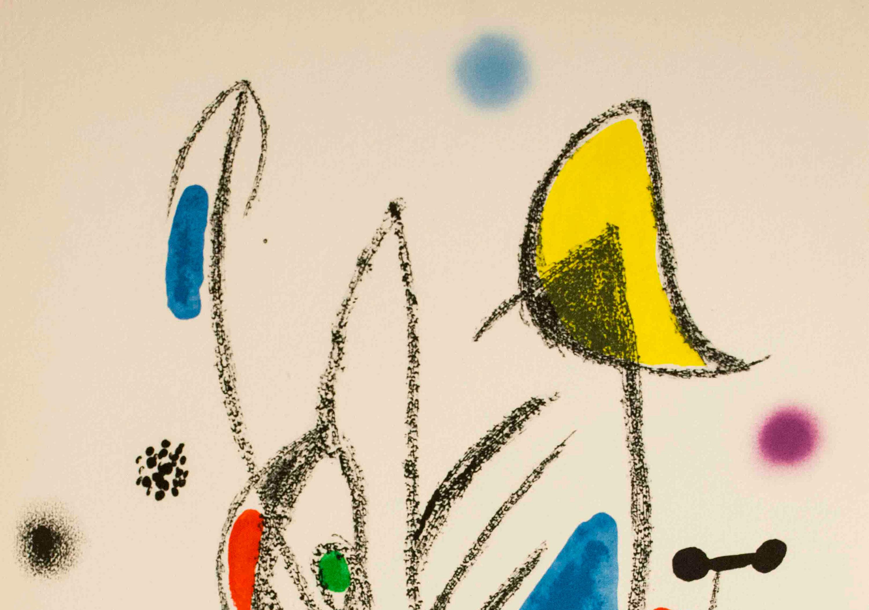 Maravillas con Variaciones Acrosticas en el jardin de Miro (Number 18) - Print by (after) Joan Miró