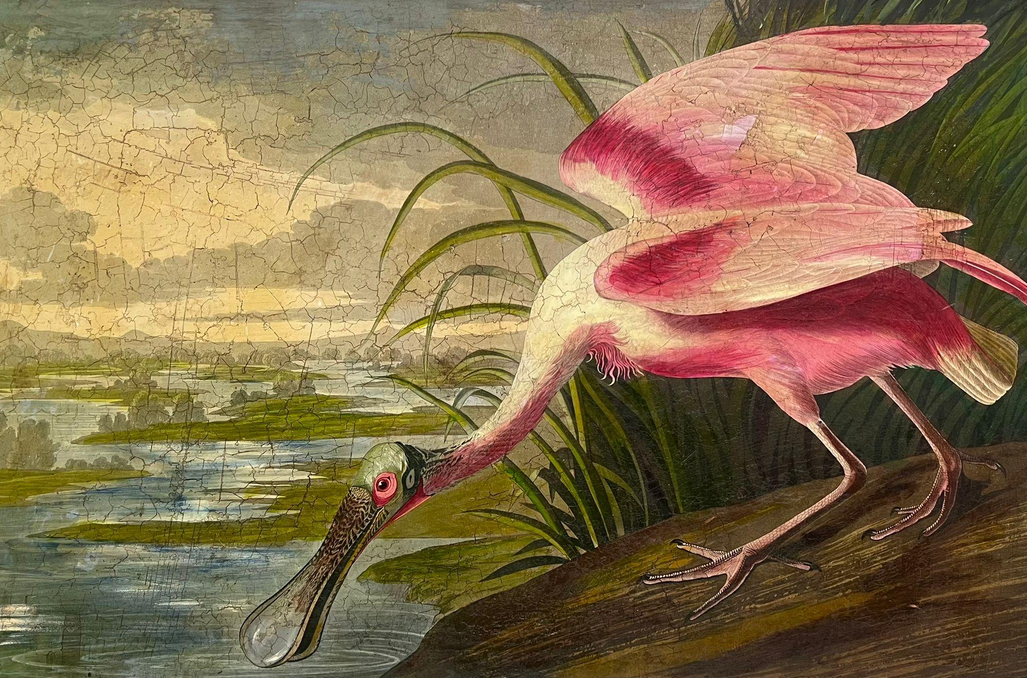 Roseate Spoonbill Very Large Vintage Picture of Famous Bird Beautifully Framed - Painting by After John James Audubon
