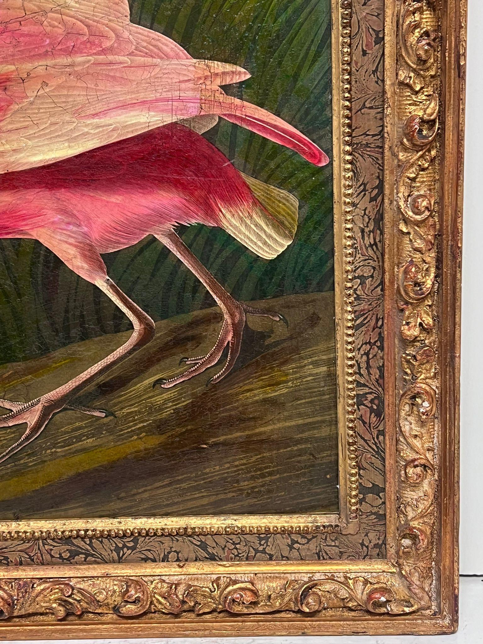 audubon spoonbill print