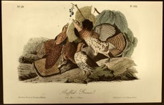 "Ruffed Grouse", an Original Audubon Hand-colored First Edition Lithograph 