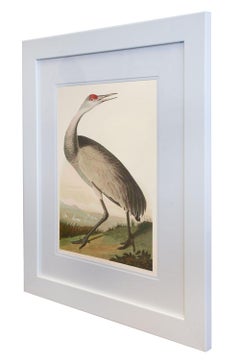 Hooping Crane, Edition Pl. 261